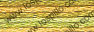 fr117004070