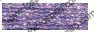 fr117e0155