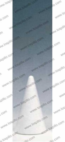 plsg0004012