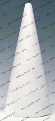 plsg0004026