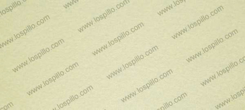 tsfl1020272