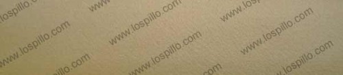 tsfl3050222