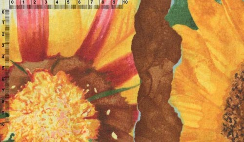 txfn010000