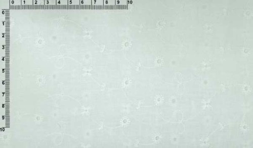 txnw010000