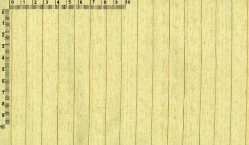 txyl040000